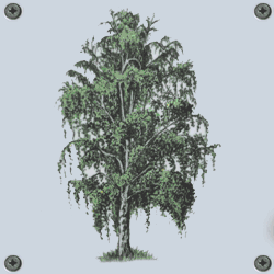 Puzzelbilder Baum