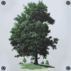 Puzzelbilder Baum